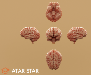 Screenshot 2025 12 13 at 7.04.57 am